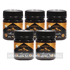 ׸Ʈ ī UMF10+ 250g 5 ǰ